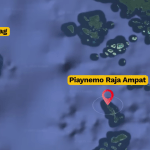 Tambang Nikel Pulau Gag, Jarak Bukan Satu-Satunya Masalah